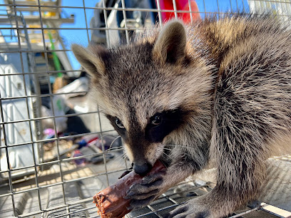 Complete Animal Removal