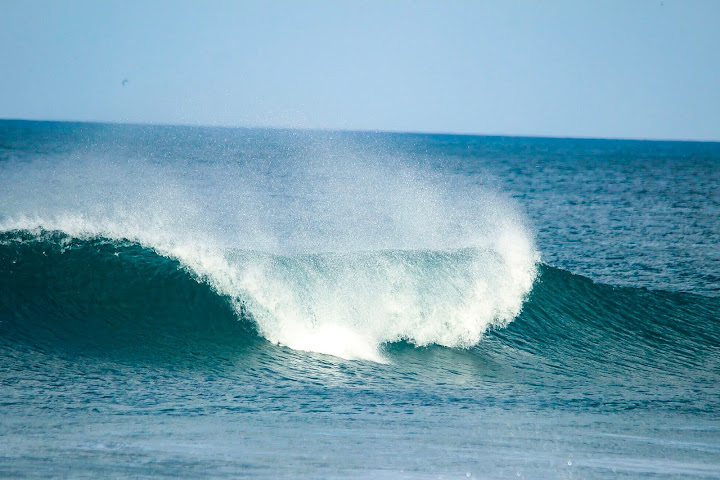 Coconut Surf by null