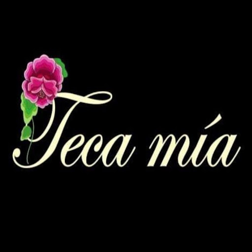 Teca Mía - Visual