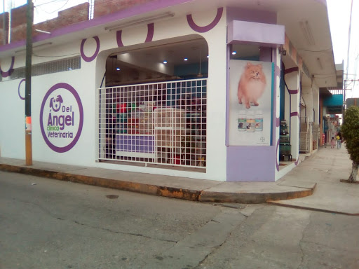 Del Ángel Clínica Veterinaria