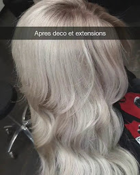 Photo n°5 de KIMEXTENSIONS à Villeneuve-le-Roi (Société d'import-export)