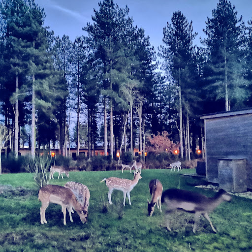 Parc aquatique Aqua Mundo Center Parcs Le Bois aux Daims - Thumbnail
