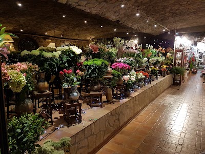 Photos of Fleurs Carlo Warnier S&agrave;rl