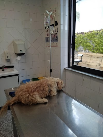 Veterinary Clinic Villa Felice