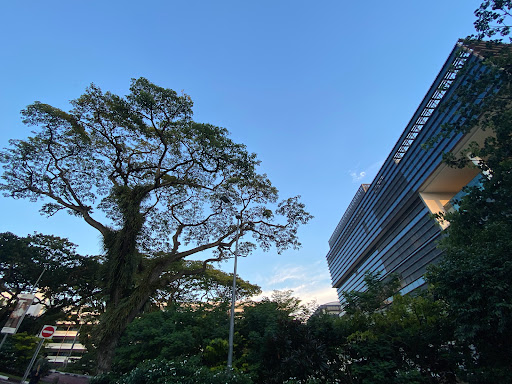 NUS Central Library - Thumbnail