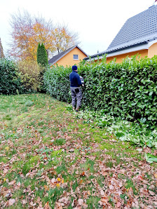 DM Gartenservice und Reinigungsfirma in Kiel Zum Brook 8B, 24143 Kiel, Deutschland