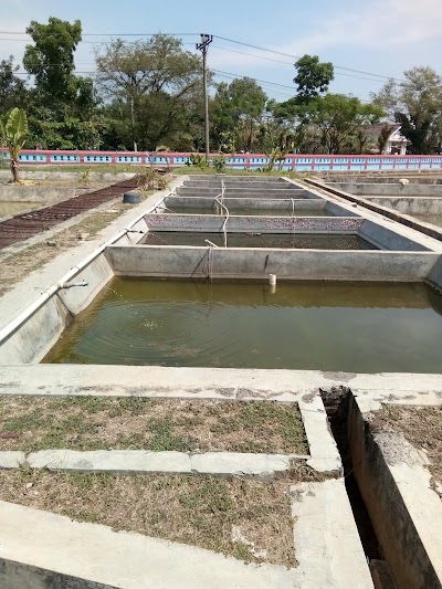 Photos of Balai Benih Pertanian Mijen