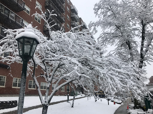 Malden Housing Authority - Thumbnail