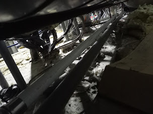 Photo n°19 de Au Service Du Bâtiment 65 à Tarbes (Peintre en bâtiment)