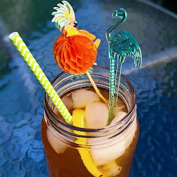 Photo n°47 de Selma Alabama à Bayeux (Salon de thé)