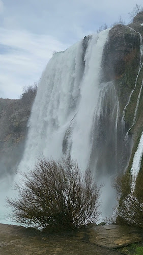 Dalibora Defilipisa, 22300, Kovačić