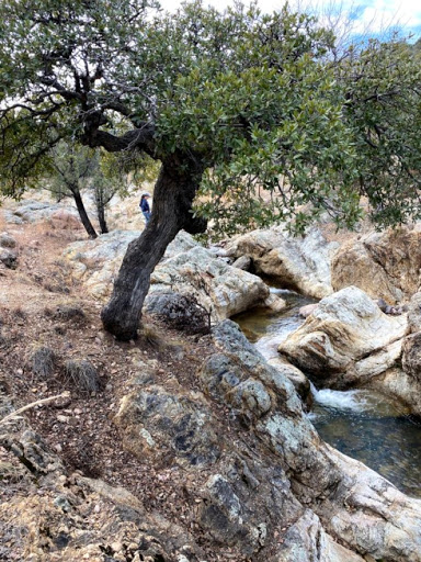Gardner Canyon - Thumbnail