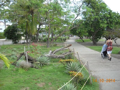 Photos of Playa torrecaribe