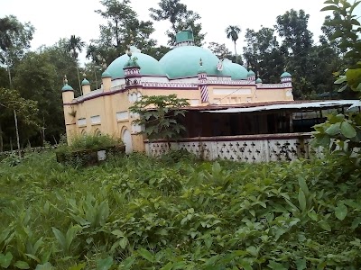 Photos of শওকত স্টোর