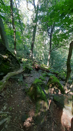 Geldkeller - Visual