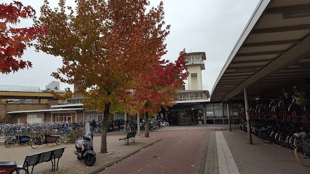 Amsterdam Muiderpoort