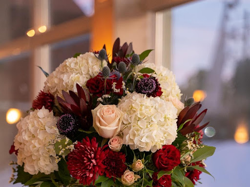 Flower Expression - Visual