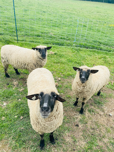 Nelson Farm Park