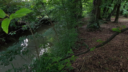 Parco comunale ''La Risaretta'' - Thumbnail