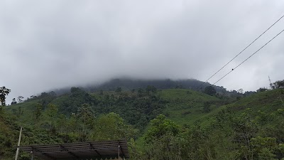 Photos of Complejo Tur&iacute;stico "Selva Alegre"