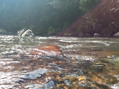 Photos of Aberdare National Park