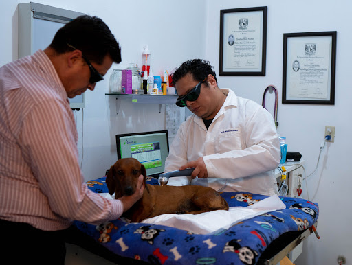 CEVMA Hospital Veterinario