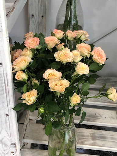 BIMFLOWERS - Visual