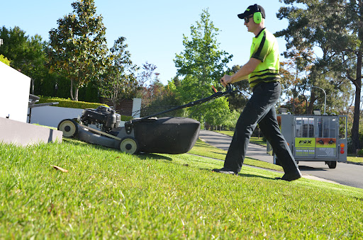 Fox Mowing & Gardening Maitland | Soft Landscaping and Gardening Maintenance #1 Lawn Services - Thumbnail