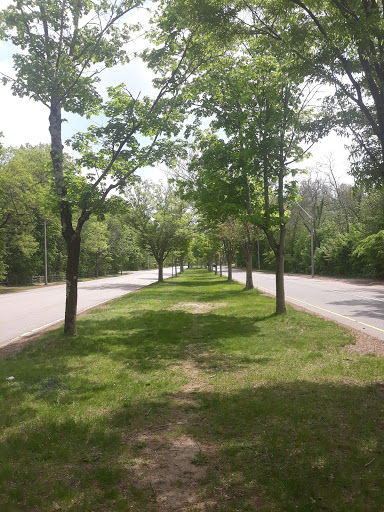Pine Tree Brook - Visual