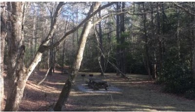 Photos of Raccoon Branch Campground