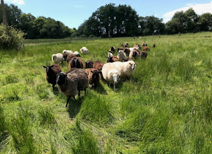 Photo n°2 de Ferme bio de Kerdelam à Ploemel (Ferme bio)