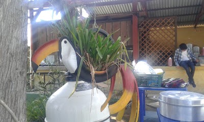 Photos of Exotic Antigua RESCUE CENTER