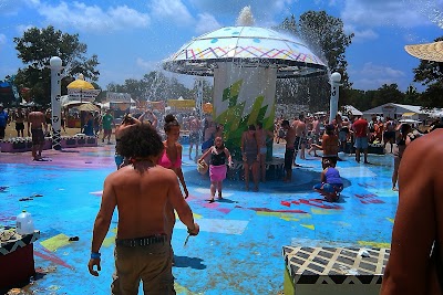 Bonnaroo Arts And Music Festival