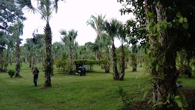 Photos of Las Charcas