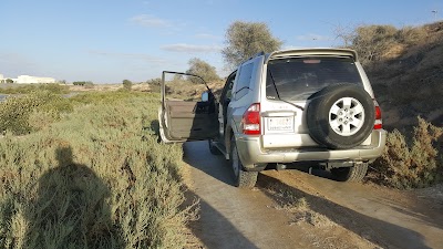 Photos of بحيرة القرم ام القيوين