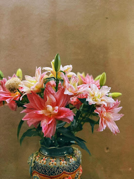 Nhà Tú - Việt Nam Restaurant by null