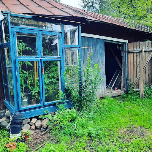 Kokokombucha Hälsingland - Thumbnail