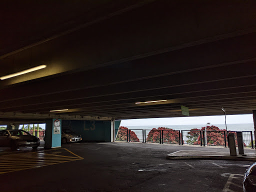Centre City Car Park Gallery - New Zealand