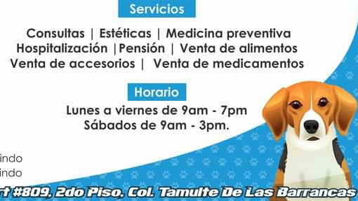 Clínica Veterinaria Galindo