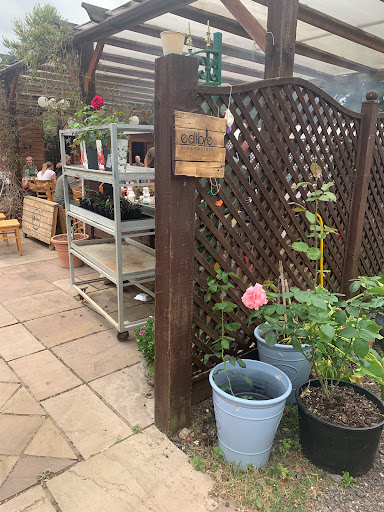 Chilli Ranch - Visual