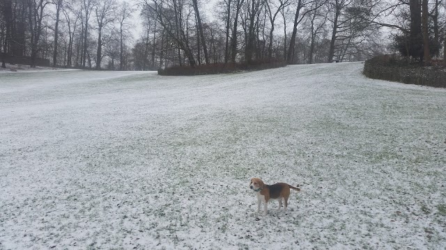 Parc de Wolvendael