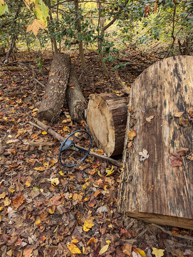 Forked Creek Trail