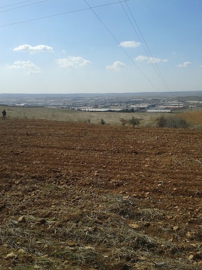 Photos of Şanlıurfa Osb