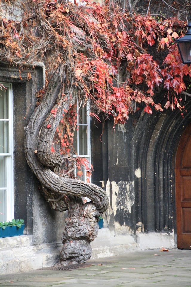 Lincoln College