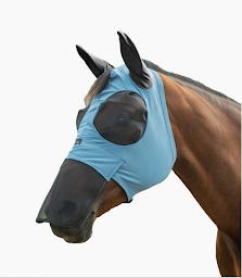 Photo n°21 de Sellerie EQUIDEAL à Saint-Dié-des-Vosges (Magasin d'équitation)