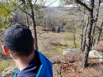 Photos of Big Rock Cabins