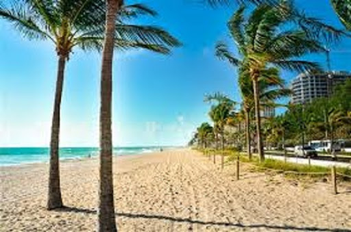 The Beach Movers - Visual
