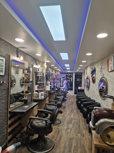 Lion coiffure Gallery - France