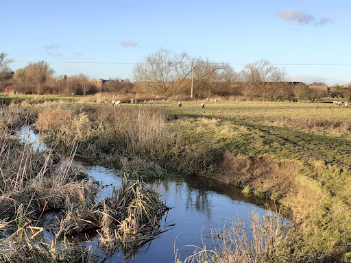 Tewkesbury Nature Reserve Car Park - Thumbnail