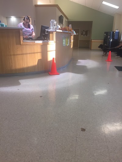 Photos of Family Pet Center At All Creatures